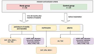 The Redox Balance in Erythrocytes, Plasma, and Periosteum of Patients with Titanium Fixation of the Jaw